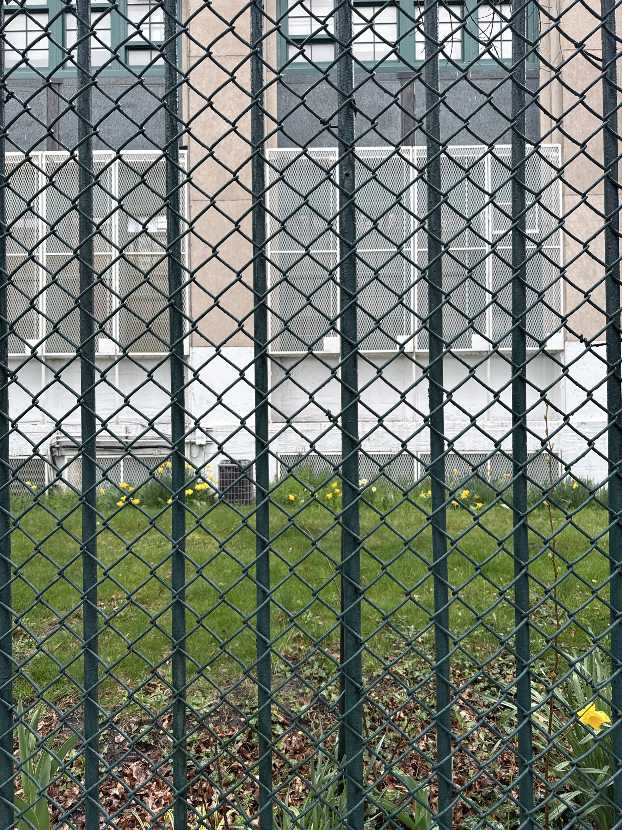 Chain-link fence separates urban courtyard from building with vertical panels.
