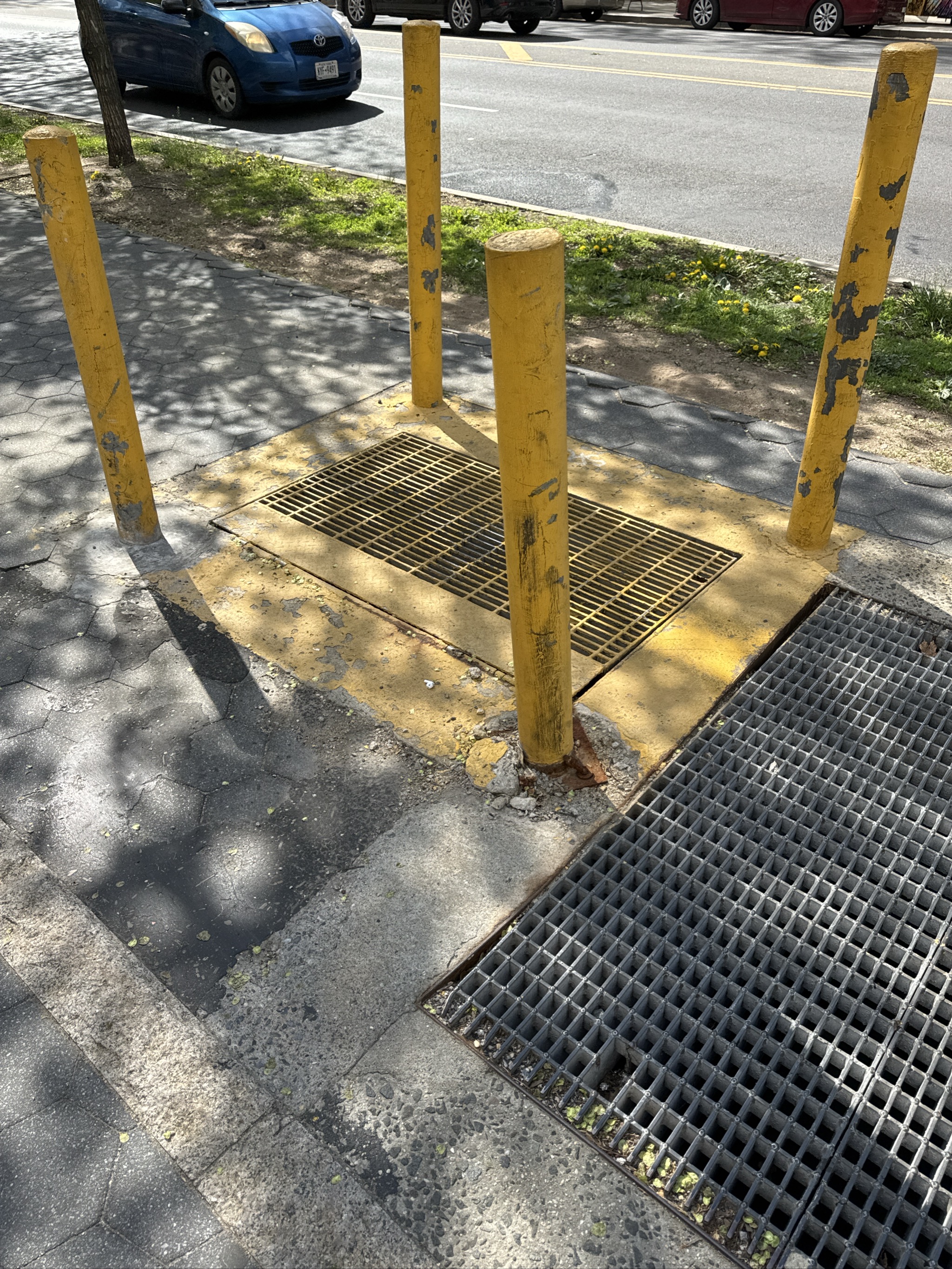 Yellow bollards surrounding metal grating on sidewalk near street.
