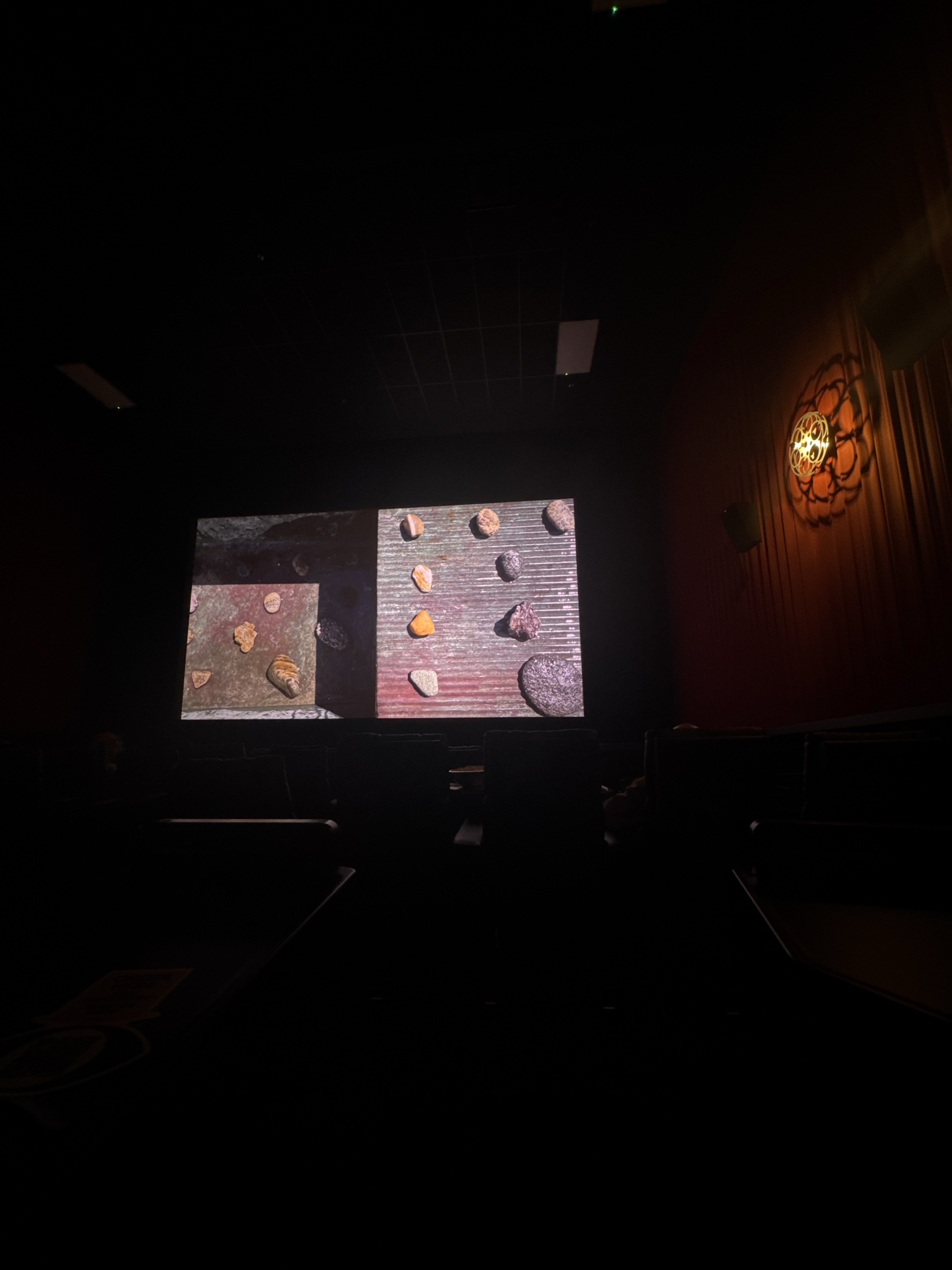 Dark theater screening presentation showing shells and rocks on wooden backgrounds.